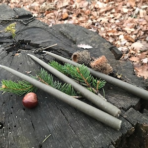 May include: Four gray taper candles are arranged on a weathered tree stump, accented with sprigs of evergreen and a chestnut. The candles are slender and cylindrical, creating a rustic, natural aesthetic. The background features fallen leaves.