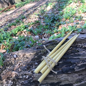May include: A bundle of four pale yellow taper candles tied with twine, resting on a weathered log. The candles have white tips and are set against a backdrop of a forest floor with green foliage and a walking path.