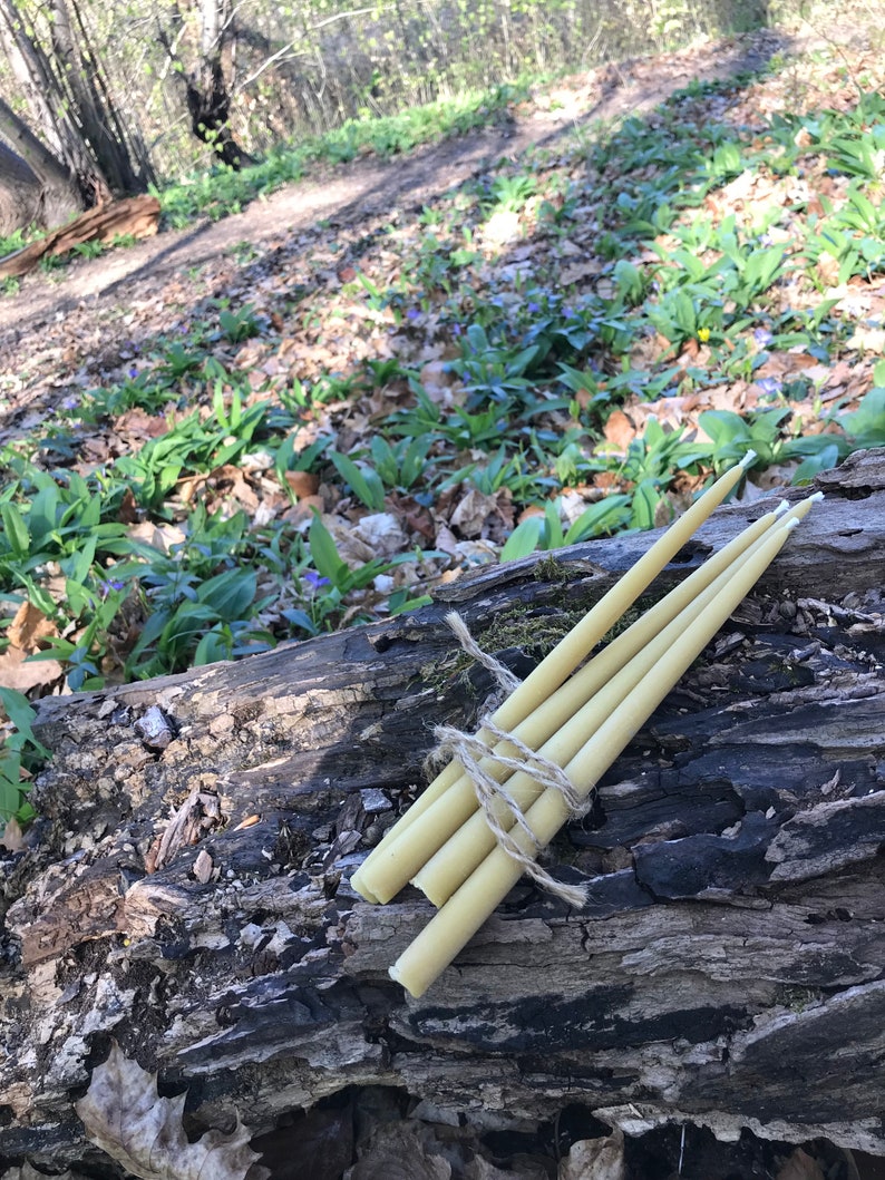May include: A bundle of four pale yellow taper candles tied with twine, resting on a weathered log. The candles have white tips and are set against a backdrop of a forest floor with green foliage and a walking path.
