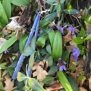 May include: Two blue candles lie among green leaves, brown fallen leaves, and small purple flowers. The candles have a textured surface and are tied together with a white string. The scene is set outdoors.