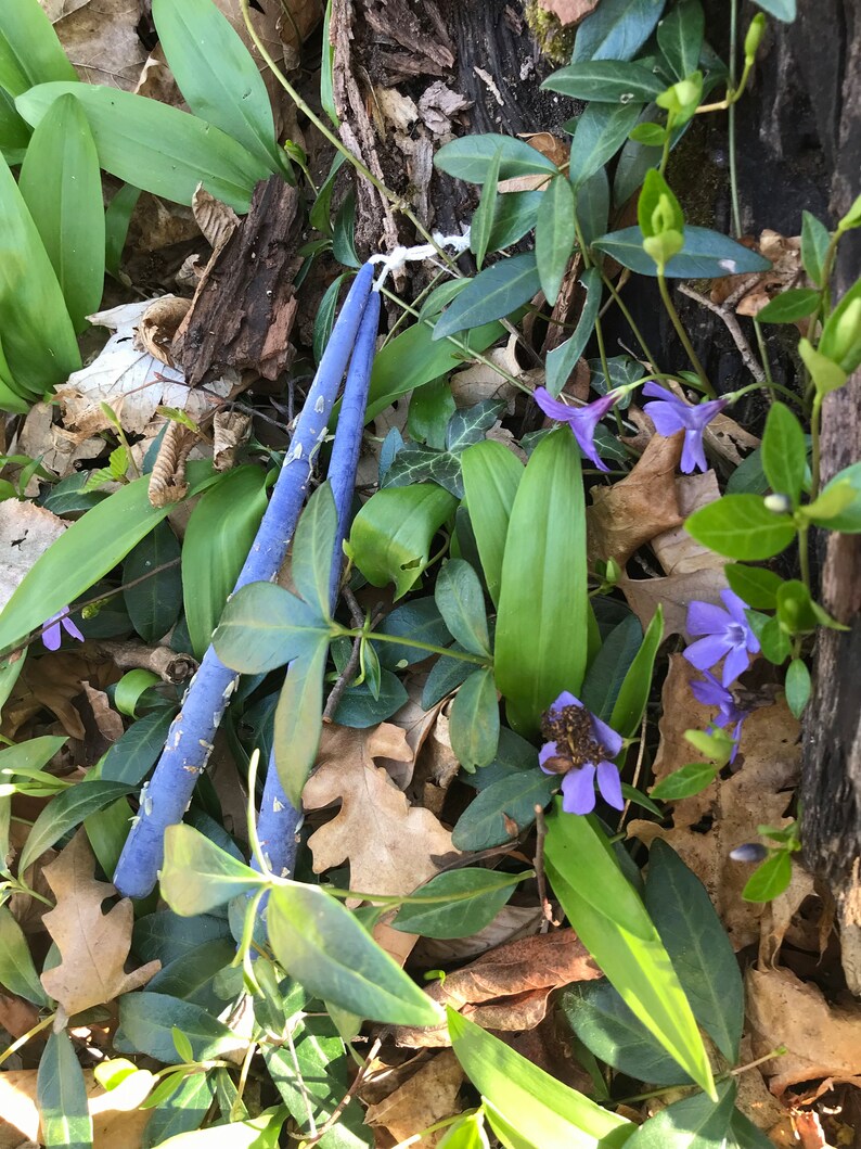 May include: Two blue candles lie among green leaves, brown fallen leaves, and small purple flowers. The candles have a textured surface and are tied together with a white string. The scene is set outdoors.