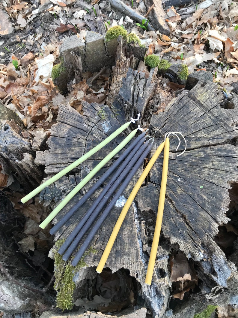 May include: A group of six long, thin candles in three different colours: yellow, green, and black. The candles are arranged in a circle on a tree stump.
