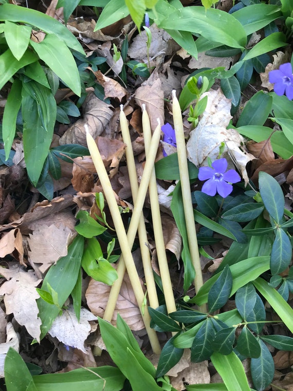 Dünne Tafelkerzen, Stabkerzen, Thin Taper Candles, Spitzkerzen, Bienenwachs Kerzen