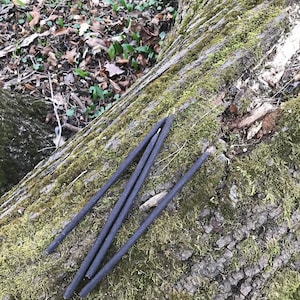 May include: Five black, flexible, rubber cords are lying on a mossy tree trunk. The cords are arranged in a criss-cross pattern.