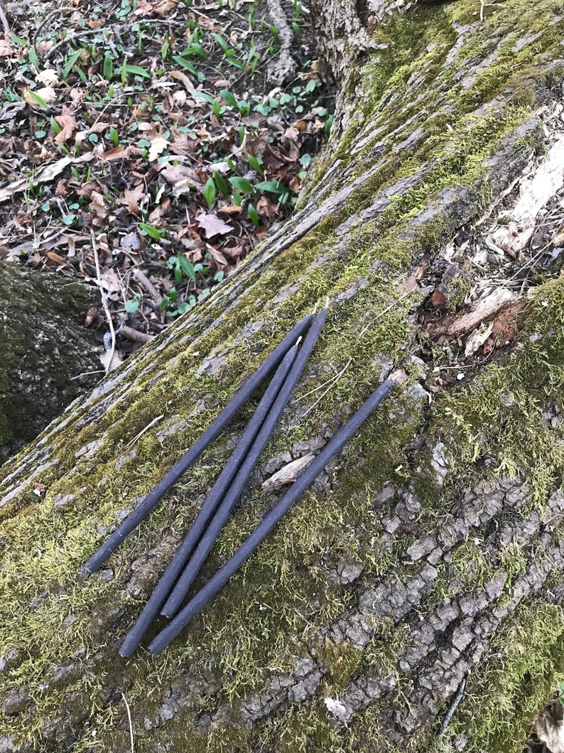 May include: Five black, flexible, rubber cords are lying on a mossy tree trunk. The cords are arranged in a criss-cross pattern.