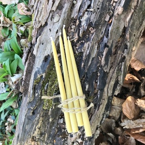 May include: A bundle of four tapered, pale yellow candles tied with twine, resting on a weathered, gray and brown log. The candles have a smooth texture and are arranged vertically. The background includes foliage and fallen leaves.