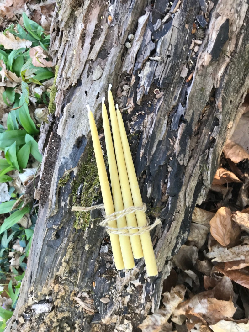 May include: A bundle of four tapered, pale yellow candles tied with twine, resting on a weathered, gray and brown log. The candles have a smooth texture and are arranged vertically. The background includes foliage and fallen leaves.
