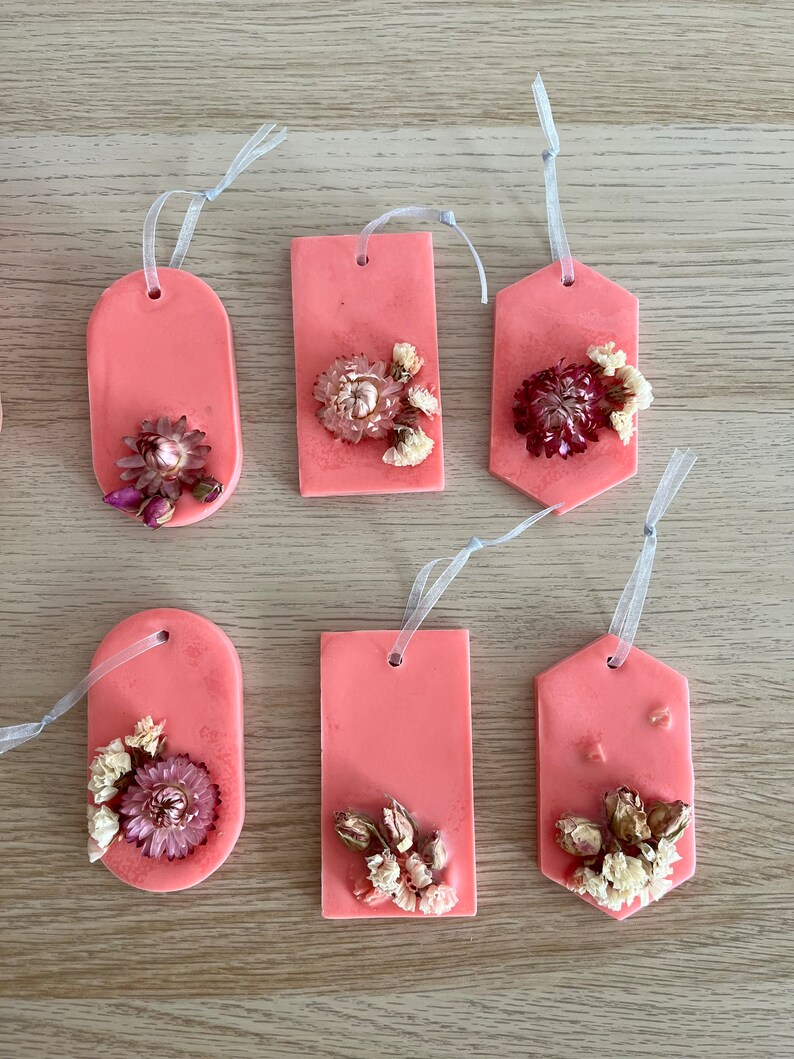 Botanical soy wax fresheners, set of 6