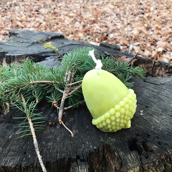 Eichel Kerze aus Bienenwachs, Acorn Candle, Beeswax Candle, Herbstdeko