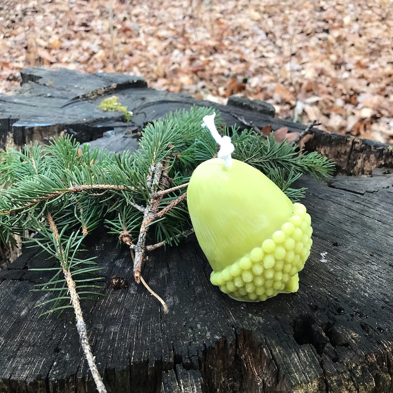 Op de afbeelding: Een lichtgroene eikelvormige kaars met een witte lont. De kaars heeft een getextureerde basis en staat op een verweerd houten oppervlak, met dennentakken op de achtergrond. Een decoratief item.
