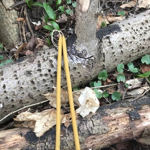 May include: Two long, thin, yellow beeswax candles on a brown, weathered log with green leaves and brown twigs in the background.