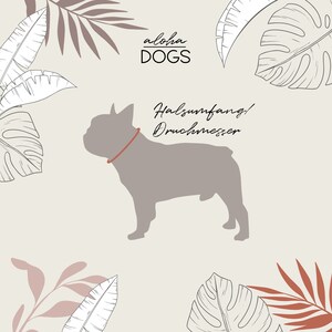 May include: A gray silhouette of a French Bulldog with a red collar against a light beige background with a tropical leaf pattern. The text "Aloha Dogs" is at the top of the image and the text "Halsumfang! Durchmesser" is below the dog.