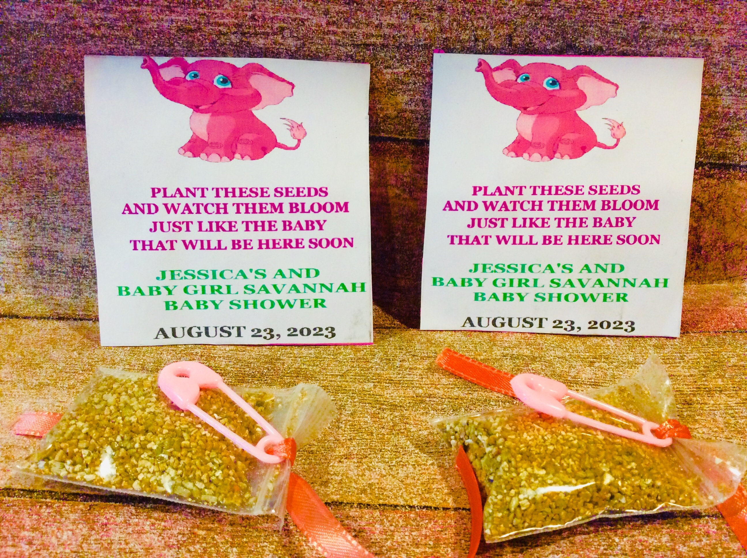 Baby Shower Favors Bulk Baby in Bloom Succulent Seeds, Seed Packets