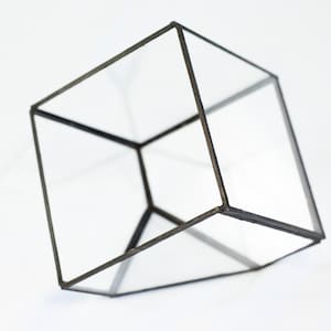Terrarium Cube container for plants glass design in glass image 1