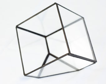 Terrarium Cube container for plants glass design in glass