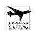 see more listings in the Express Shipping Upgrade section