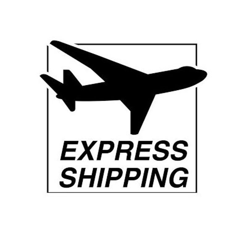 Express Shipping image 1