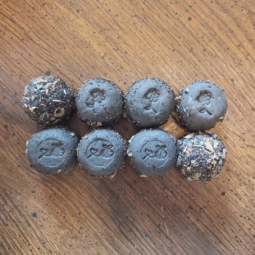 Wildflower Seed Bomb Box. Gardening Gift. Seed Bombs. Etsy