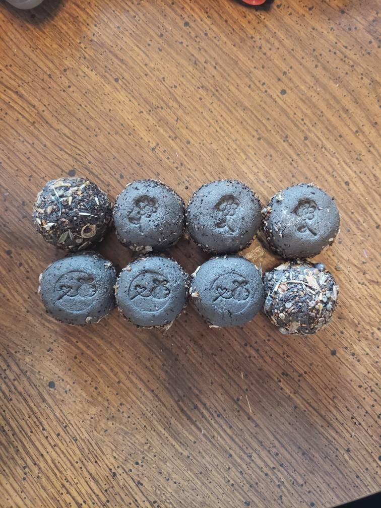 Wildflower Seed Bombs Etsy