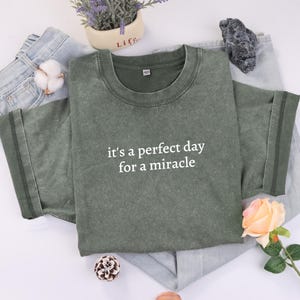 It&#39;s A Perfect Day For A Miracle Shirt, IVF Mom Shirt, IVF Mom and Dad Gift, Transfer Day Tshirt, Strong Matching Shirt