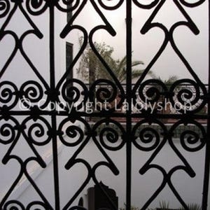 Peut inclure: Une grille de fenêtre en métal noir avec un motif décoratif de cœurs et de volutes tourbillonnants. La grille est devant un mur blanc avec un aperçu d'une plante verte.