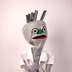 Robot puppet - muppet style