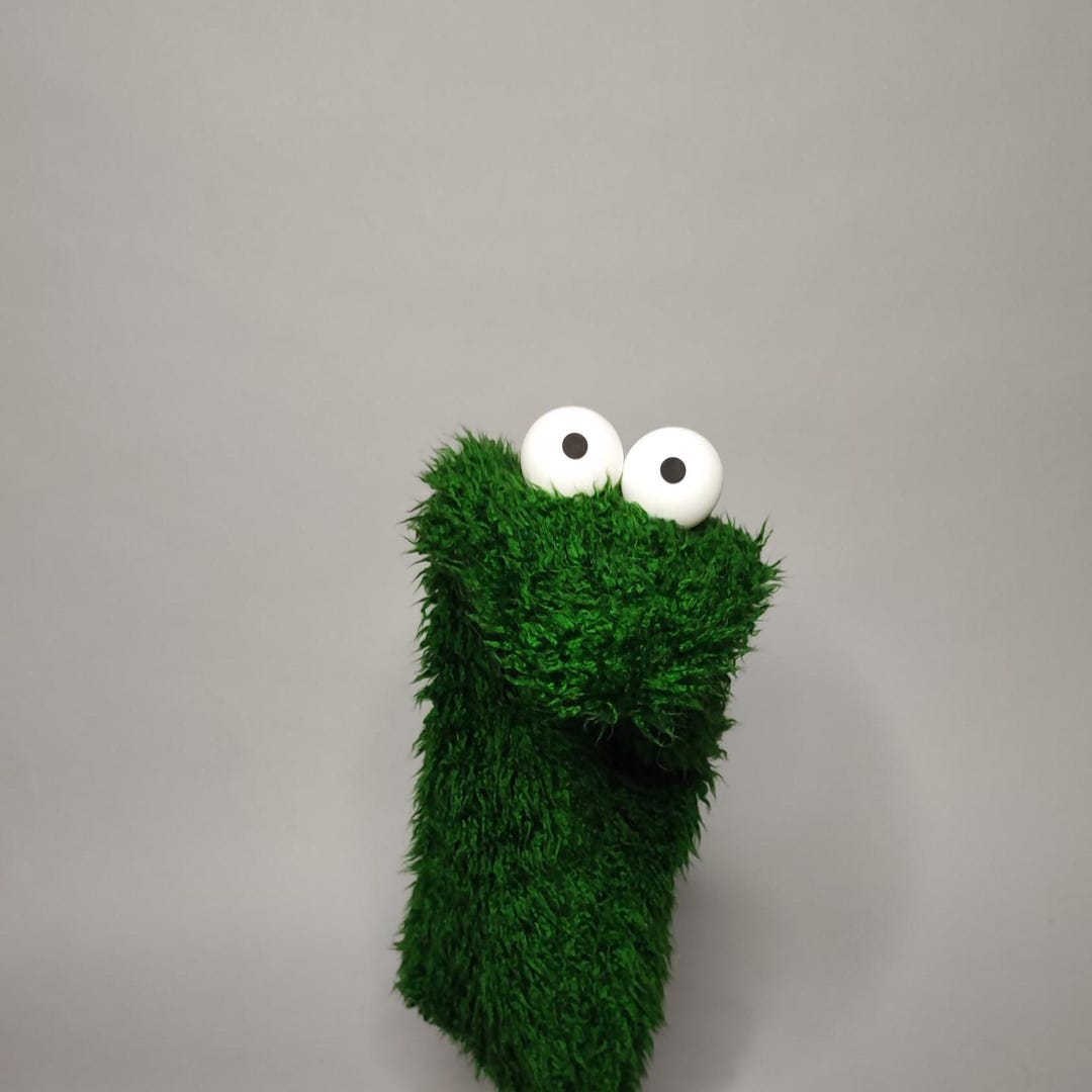 Green Sock Hand Puppet for Kids and Adults - Etsy