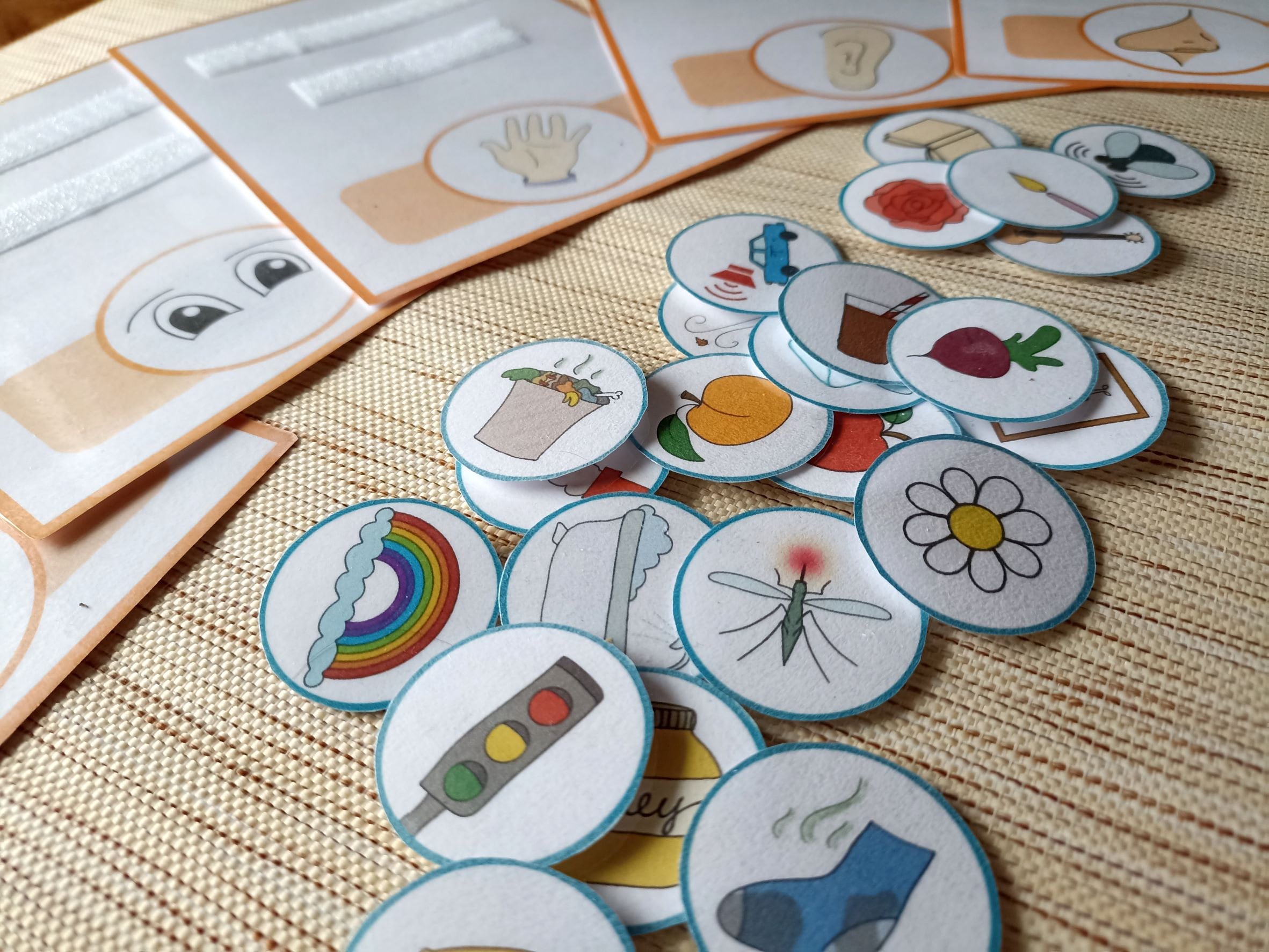 Five Senses Sorting Game, What Do You See, Smell, Taste, Hear and Touch ...