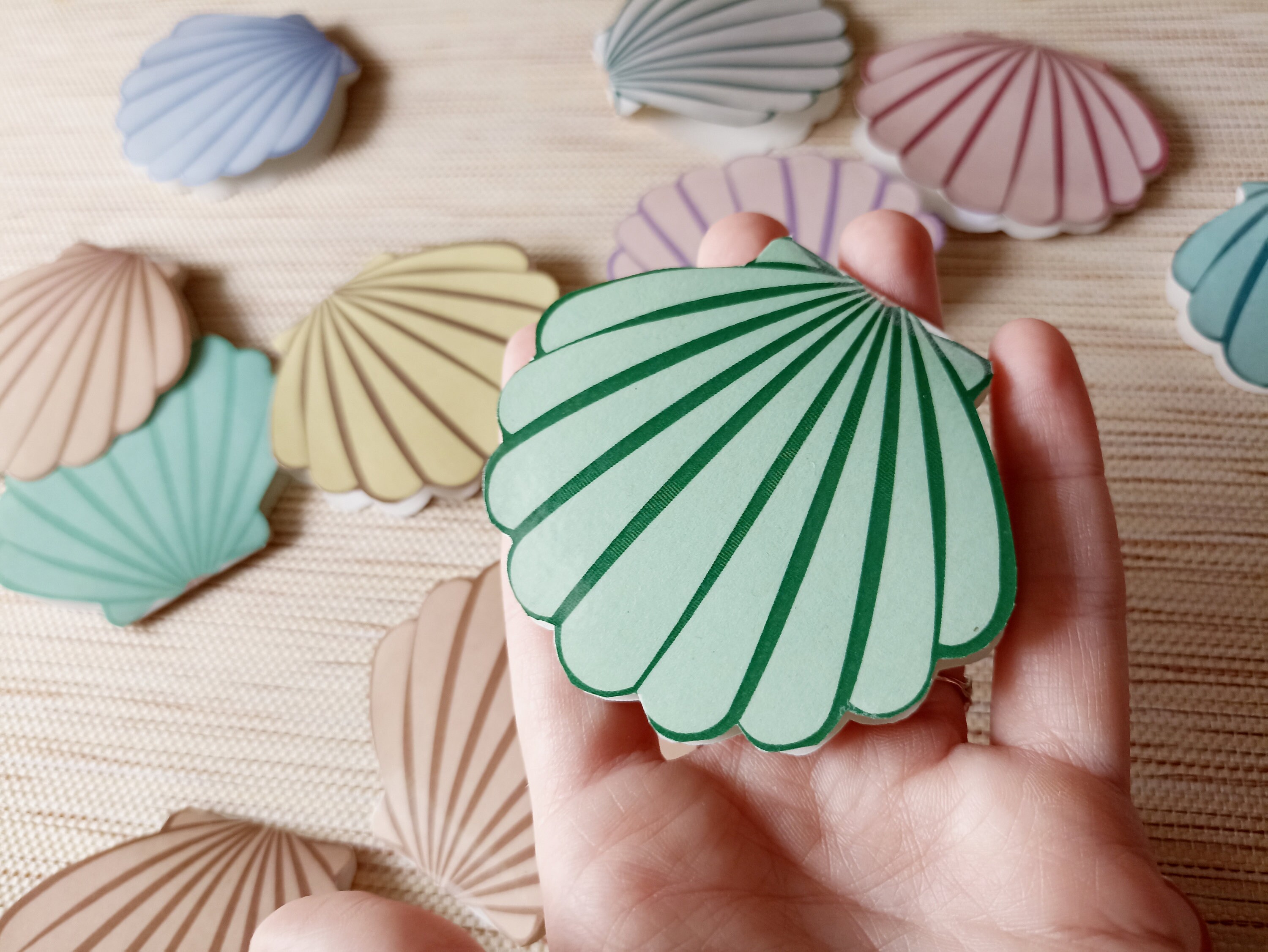 Sea Shells Memory Game Where Are the Pearls Colourful Shells and Pearls for Toddlers