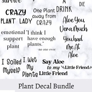 Plant sayings bundle svg - planter pot decals png - funny plant quotes instant download - planter svg