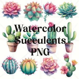 Aquarel vetplanten en cactussen PNG, succulent sublimatie png-bestand, succulent clipart