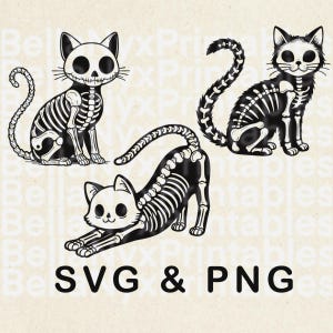 Gato esqueleto SVG, Gato assustador SVG, Gatos de Halloween, Download digital svg png
