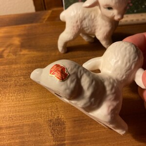 lefton sheep