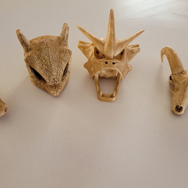 Pokemon skulls