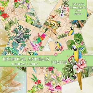 Cartões de diário de animais tropicais, diário de lixo, mídia mista, coisas efêmeras, kit digital, para impressão, diários, papel vintage, álbum de recortes