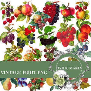 20 Vintage Fruit Clipart - Fruit Clipart - Nostalgie clipart - Instant Download - png bestanden