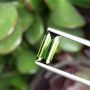 Natural Tourmaline 1.04 ct | Dark Forest Green Rectangular Cut | Untreated Loose Gemstone| IGI Analyst Selected | Madagascar