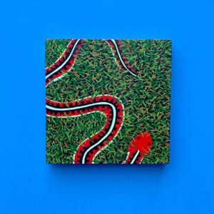 Snake original painting, Snake in the grass painting, Garden wall art, Small painting of garter snake, Snake art, Painting of snake in grass