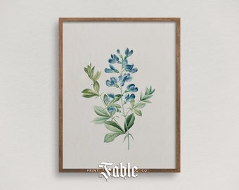 Ilustración vintage floral azul / Impresión de flores botánicas antiguas / Arte imprimible / Descarga digital