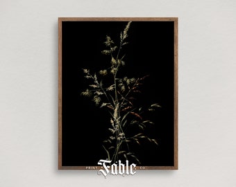 May include: A framed print of a botanical illustration of a single stalk of grass with green and brown leaves against a black background. The print has the text "PRINT Fable CO." at the bottom.