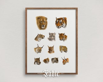 Vintage Cats Illustrations | Lions and Tigers Printable Art | Digital Download