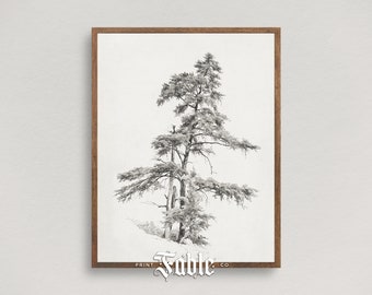 May include: Black and white illustration of a single pine tree in a snowy landscape. The image is framed in a wood frame with the text "Print Fable Co." at the bottom.