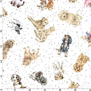 Whiskers & Paws White Tossed Dogs by Hannah Dale Maywood Studios