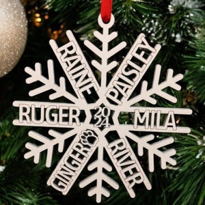 Grandkids names Christmas ornament, Family Christmas Ornament with Names, Pet Personalized Ornament, Gift for Family, Grandparent gift