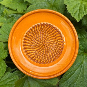 Puede incluir: Un plato rallador de cer&aacute;mica circular con un borde esmaltado de color naranja vibrante y un &aacute;rea central texturizada con un patr&oacute;n de espiral marr&oacute;n en relieve, dise&ntilde;ado para rallar ajo, jengibre u otros ingredientes en pasta.