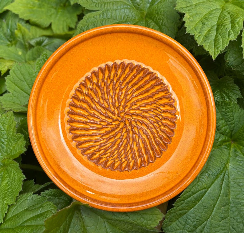 Puede incluir: Un plato rallador de cer&aacute;mica circular con un borde esmaltado de color naranja vibrante y un &aacute;rea central texturizada con un patr&oacute;n de espiral marr&oacute;n en relieve, dise&ntilde;ado para rallar ajo, jengibre u otros ingredientes en pasta.