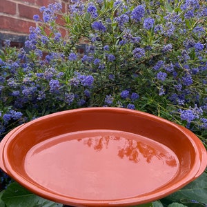 May include: A terracotta oval baking dish with a smooth, glossy finish. The dish is empty and appears to be new.