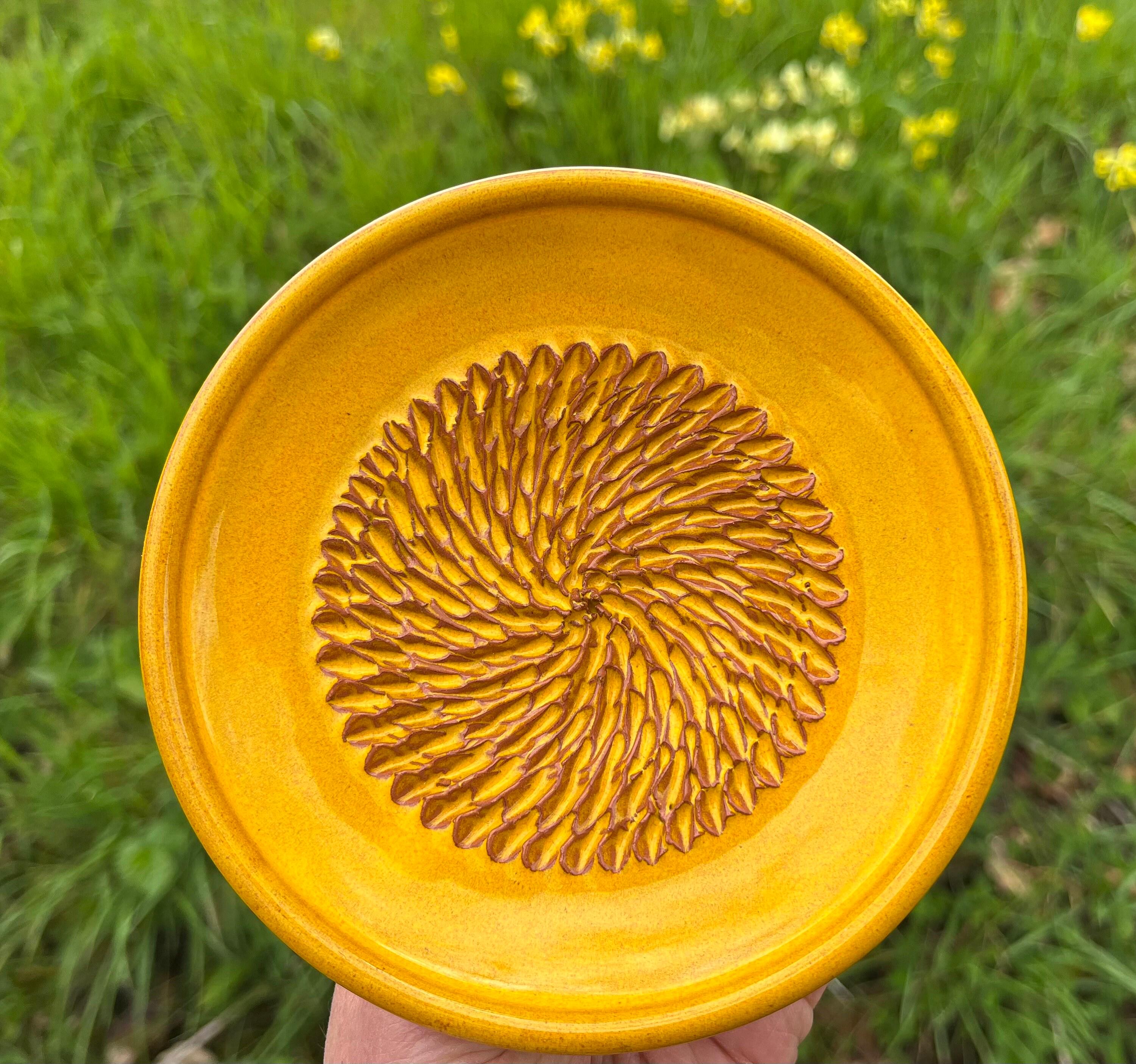 Pottery Rasps Spanish Pottery Garlic Rasp, Ginger Ceramic Grater Plate in a Variety ...