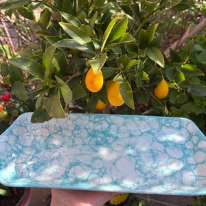 Spanish Pottery Hand-Painted Turquoise Bubble Pattern Rectangular Platter Serving Tray | Mediterranean Tapas Plate | Artisan Ceramic Gift