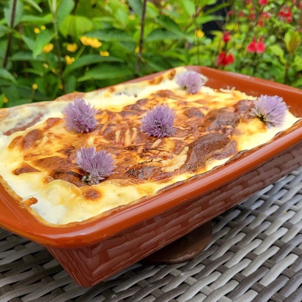 Spanish Terracotta rectangular oven dish